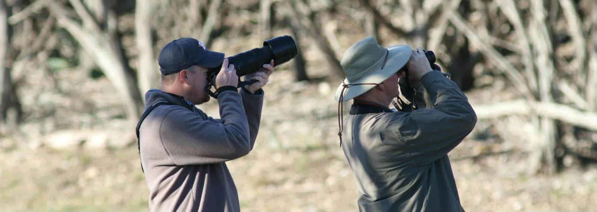 Bird Watching at Mo-Ranch