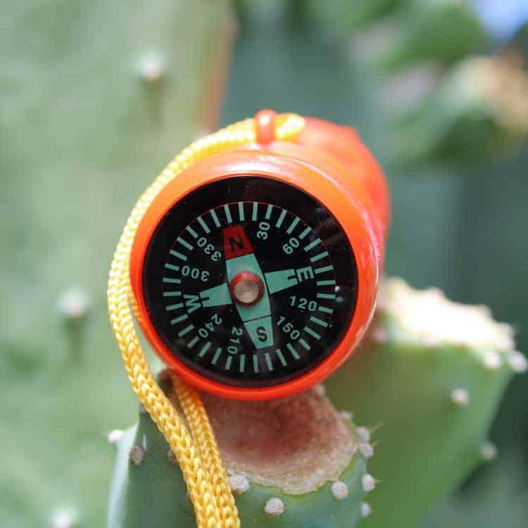 Mo-Ranch Compass Whistle