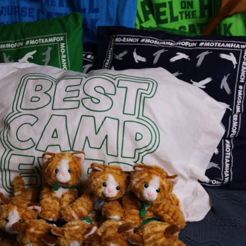 ANTELOPE STUFFED ANIMAL • Presbyterian Mo-Ranch Assembly ANTELOPE STUFFED ANIMAL • Presbyterian Mo-Ranch Assembly