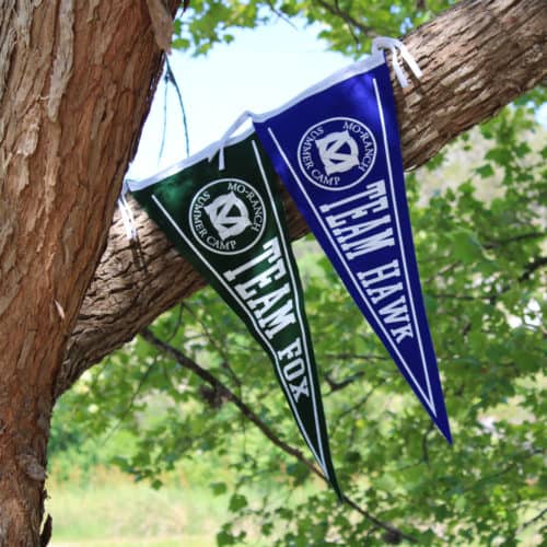Green and Blue Summer Camp Pennants