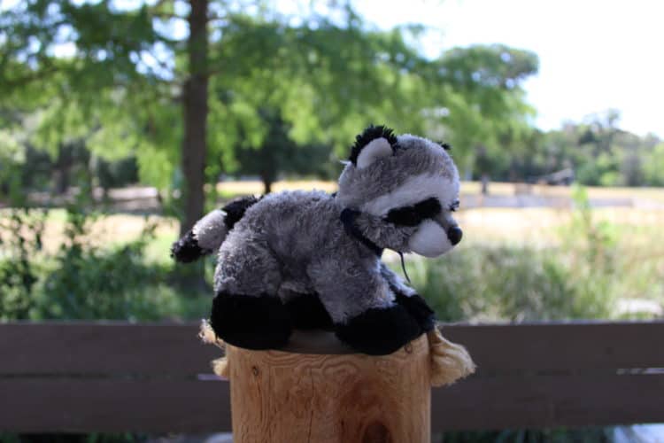Raccoon Stuffed Animal