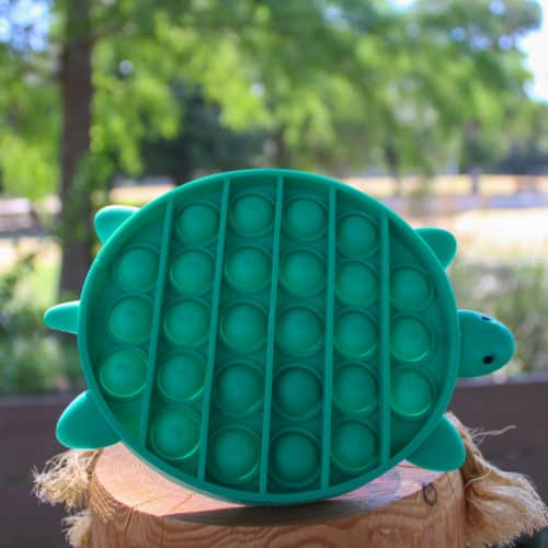 Mo-Ranch Turtle Pop-it