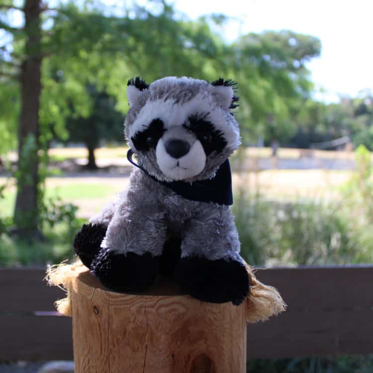 Raccoon Stuffed Animal