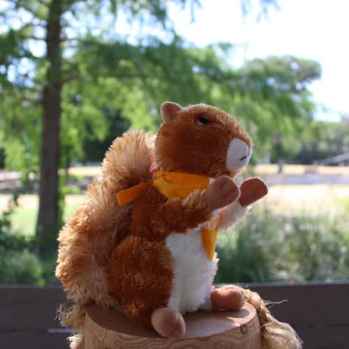 Squirrel Stuffed Animal